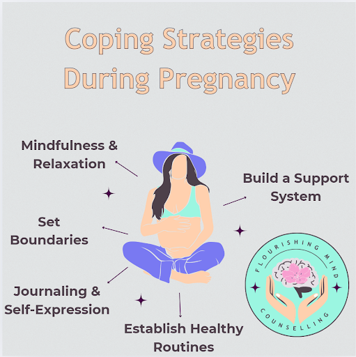 Pregnancy Resource Visual 2