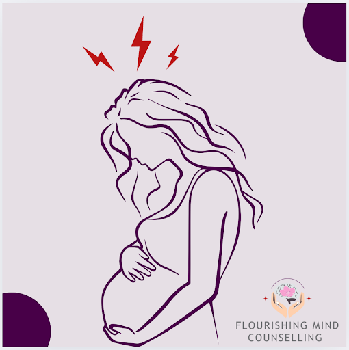 Pregnancy Resource Visual 3